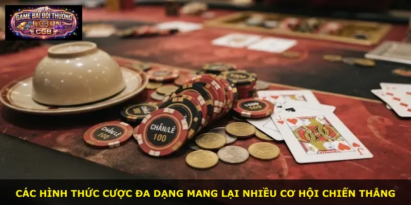 Các hình thức cược đa dạng mang lại nhiều cơ hội chiến thắng