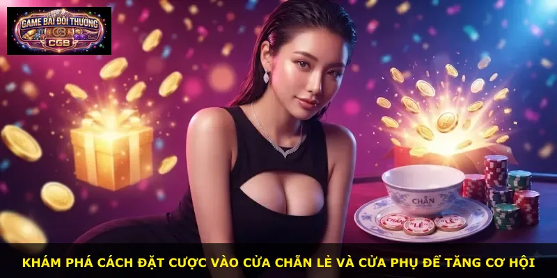 Khám phá cách đặt cược vào cửa chẵn lẻ và cửa phụ để tăng cơ hội